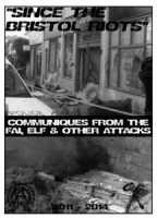 Since-the-Bristol-riots-216x300