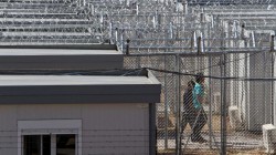 amyg cages