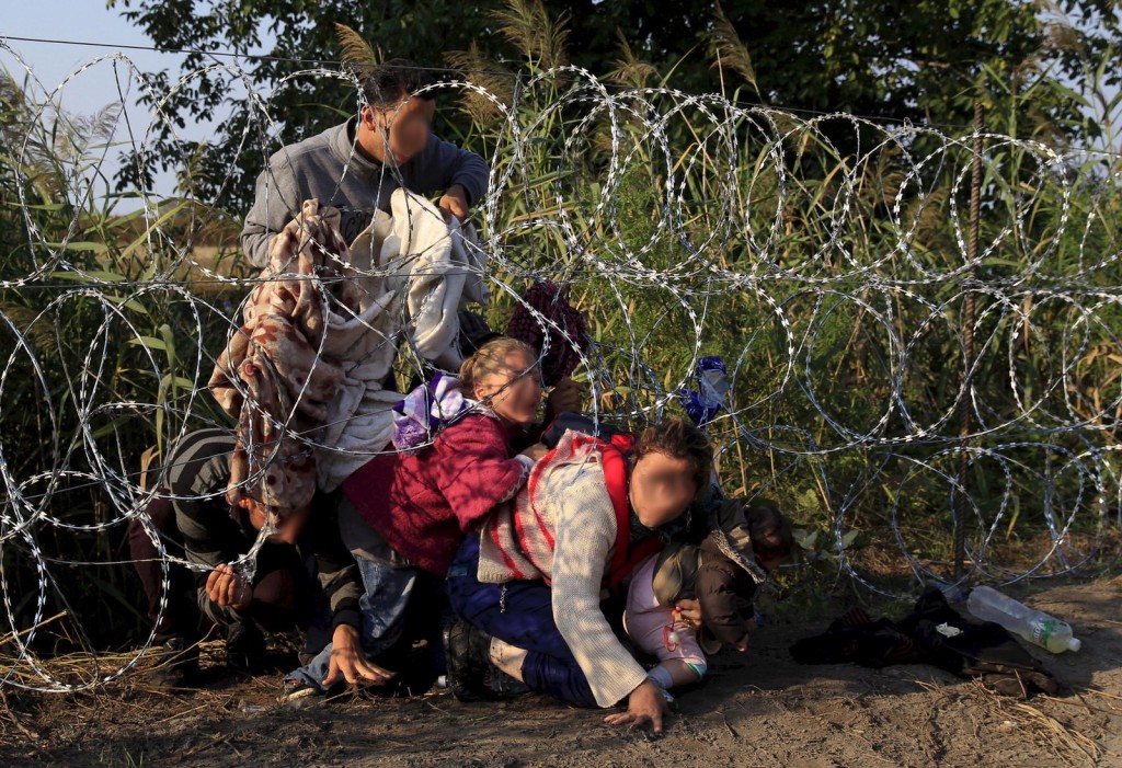migration7