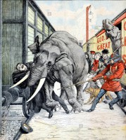 Victorian elephant trainer George William Lockhart killed by one of the elephants