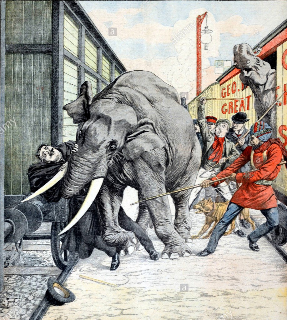 Victorian elephant trainer George William Lockhart killed by one of the elephants