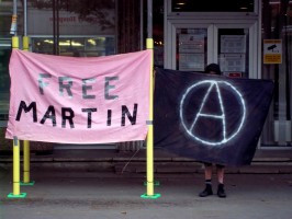 free-martin-800x600