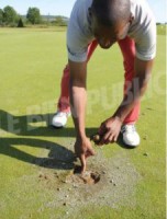golf